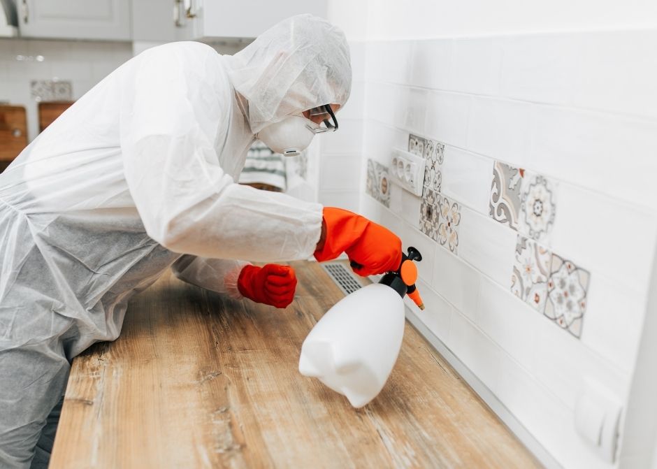 Kuşadası Hamam Böceği İlaçlama